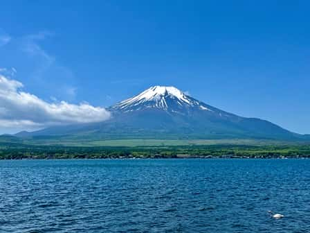 株式会社サカデンの転職・求人情報写真