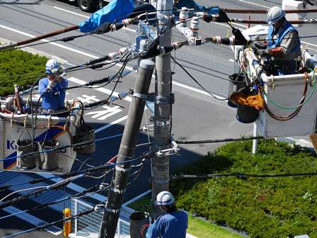 株式会社DEN.Uの転職・求人情報写真